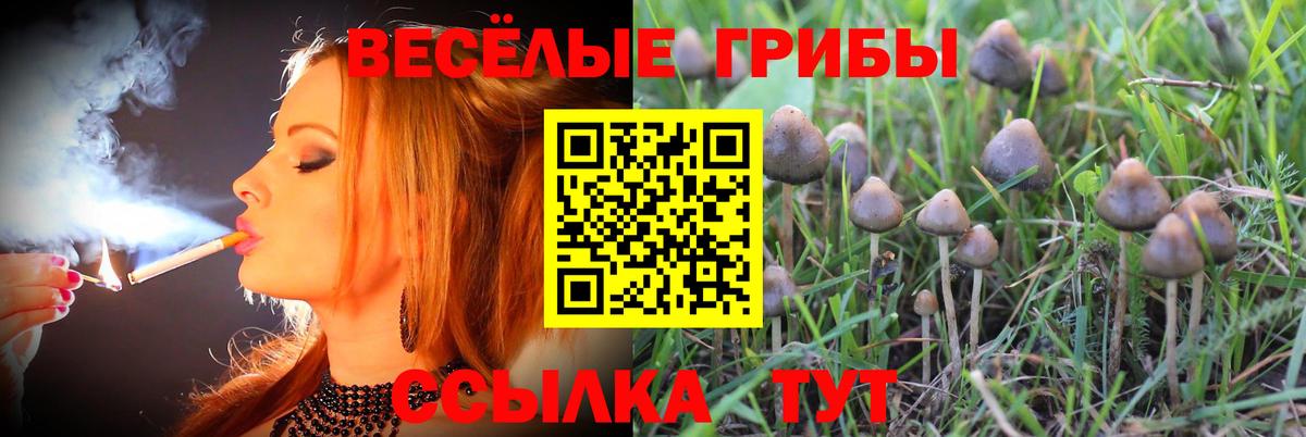 Галлюциногенные грибы ЛСД  Вход с VPN  Псилоцибиновые грибы Magic Shrooms  Североуральск 